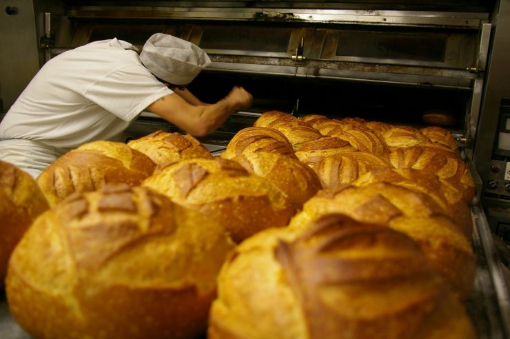 bakery-567380_1920.jpg